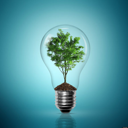 Earth-energy-with-a-tree-in-a-lightbulb