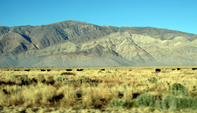 California-hills-desertification